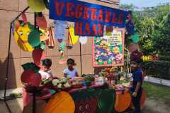Vegetable-Haat-29